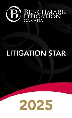 Benchmark Litigation: Litigation Star 2025