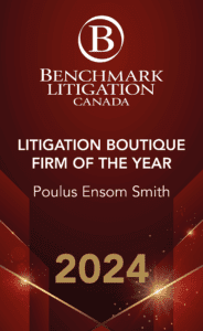 Litigation Boutique Firm of the Year